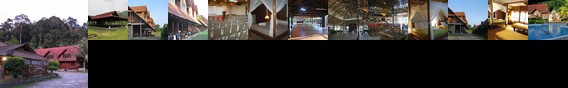 Kota Rainforest Resort