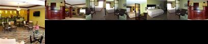 Comfort Suites Harvey LA
