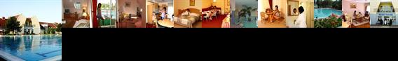 Hotel Forras