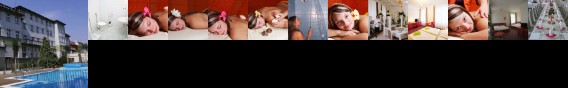 Central Wellness Hotel