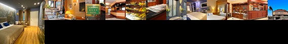 Hotel Top