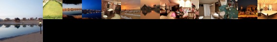 Thar Oasis Resort & Camp