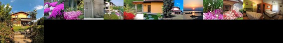 Alla Camelia B&B