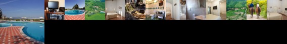 Fattoria Pieve A Salti