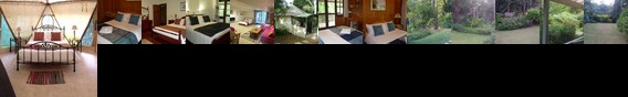Mt Warning Bed and Breakfast Retreat