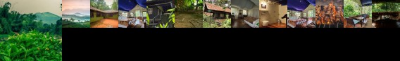 Grassroots Wayanad