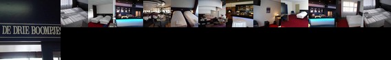 Hotel PTC Plus