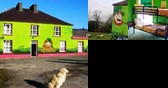 Paddy's Palace Dingle Peninsula
