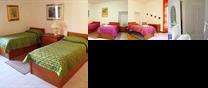 Museum House B&B