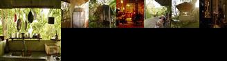 Celvante Jungle Hostel