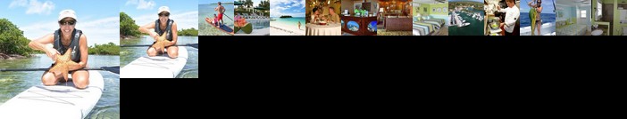 Green Turtle Club & Marina