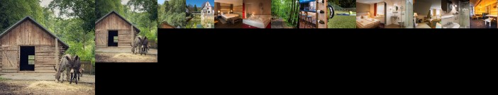 Waldhotel Mellestollen Saalfeld