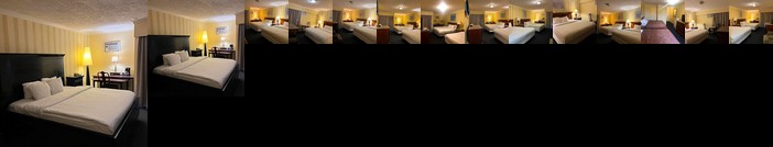 Traveller's Inn Downtown