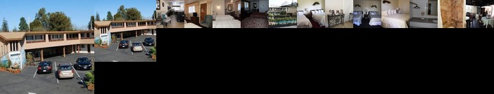 Stanford Motor Inn