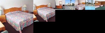 Palm Tree Inn