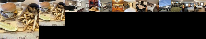 Holiday Inn Hotel & Suites Carol Stream