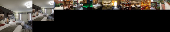 Chestnut Hill Hotel