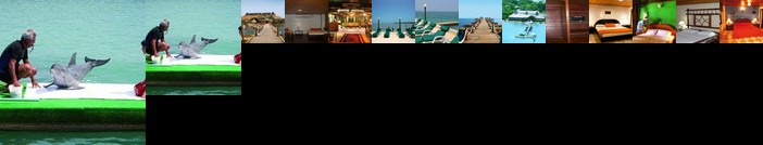 Decameron Isla Palma