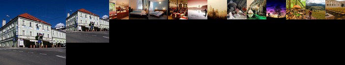 Hotel Sport Postojna