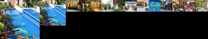 Hotel Maya Tulipanes
