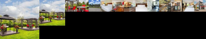 Comfort Inn Newmarket