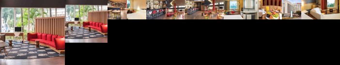 Ibis Santo Andre