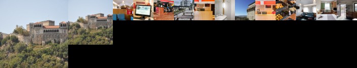 Ibis Leiria