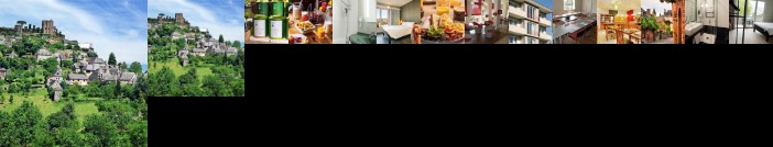 Ibis Brive