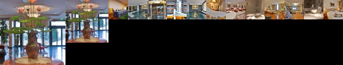 BEST WESTERN Premier Hotel Globus City