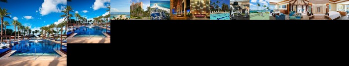 The Cove Atlantis