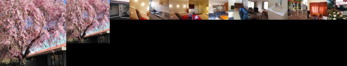 Airport Lodge Motel