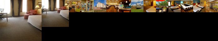 Hilton Garden Inn Albany