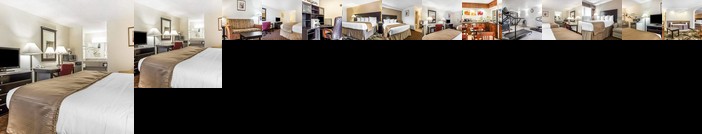 Quality Inn & Suites Coliseum