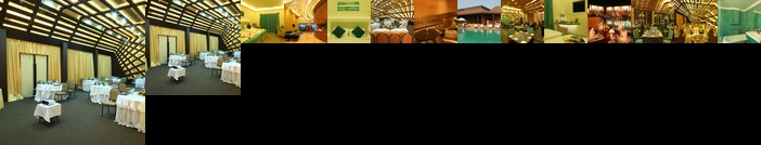 The Golden Palms Hotels & Spa Colva Goa