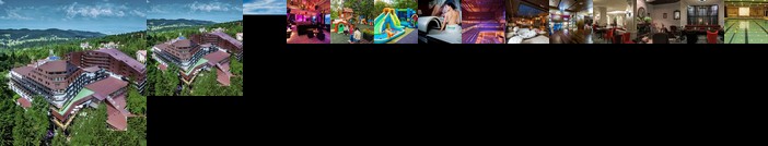 ALPIN Hotel Resort & Spa