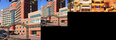 Tarim Petroleum International Hotel Urumchi