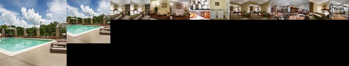 Best Western Executive Inn Corsicana
