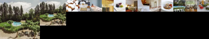 Hotel Das Termas Curia