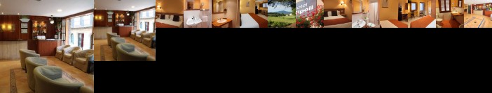 Hotel Ripoll