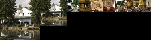 Hotel Steineweiher