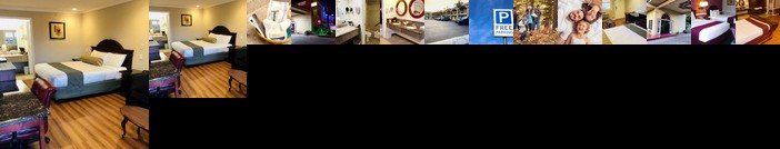 Dynasty Suites Hotel