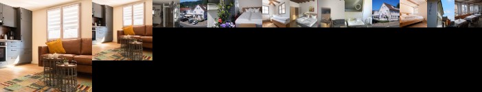 Bodenseehotel Krone Bodman-Ludwigshafen