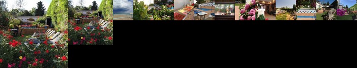 Hotel Carmen Teresa