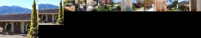Bogong Moth Motel