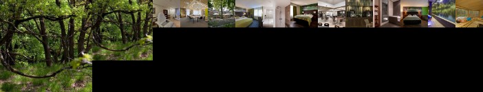 Boshotel Vlodrop