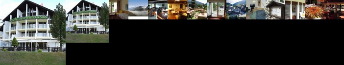 Christania Hotel Fiesch