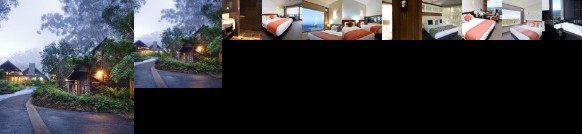 Binna Burra Mountain Lodge Beechmont