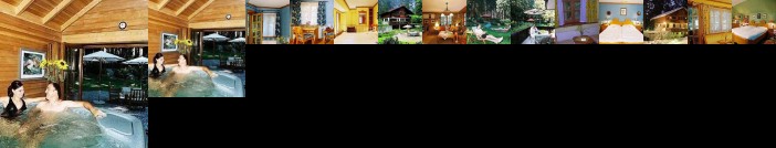 Villa Stresov Hotel Borovets