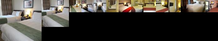 The Hotel 91