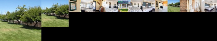 Solaire inn & Suites